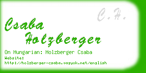 csaba holzberger business card